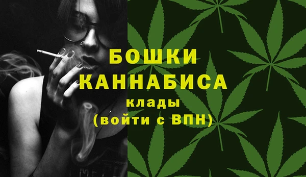 гидропоника Белокуриха