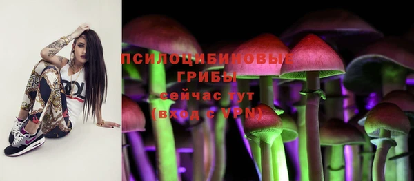 гидропоника Белокуриха