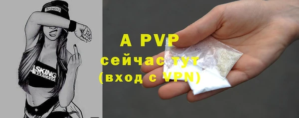 гидропоника Белокуриха