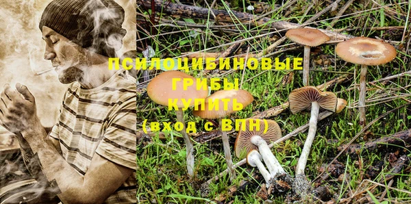 гидропоника Белокуриха